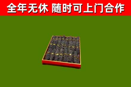 锦江区回收海参